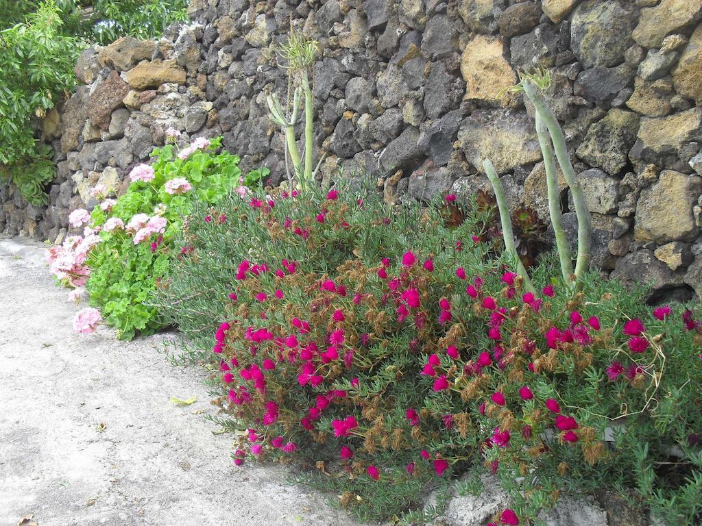 Casa Rural Abuelo Pancho Las Casas  Zewnętrze zdjęcie